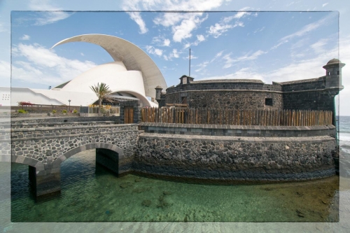 Canary Islands 054