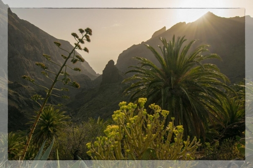 Canary Islands 055
