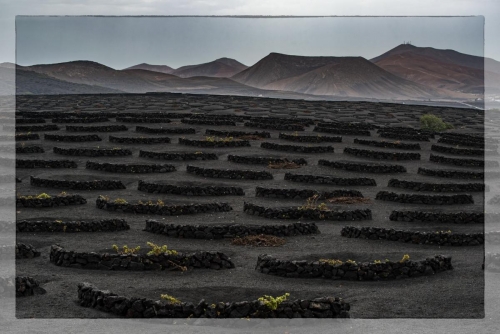 Canary Islands 057