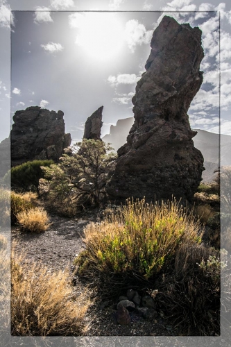 Canary Islands 075