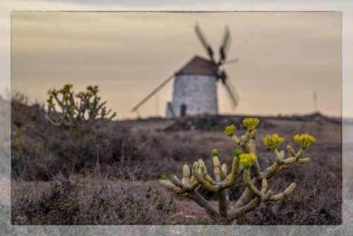 Canary Islands 076
