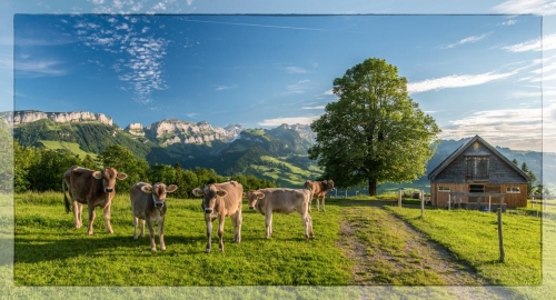 Appenzell 001