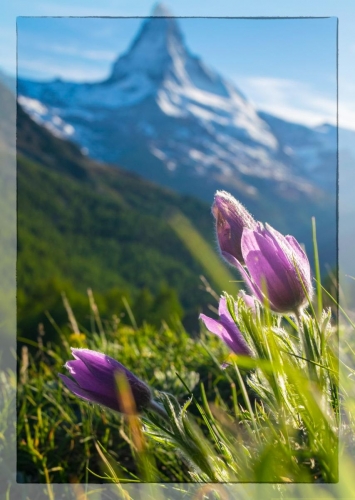 Matterhorn 008