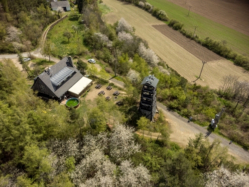 DJI 0239