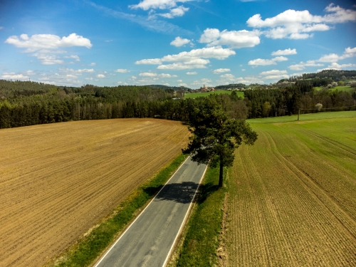 DJI 0241